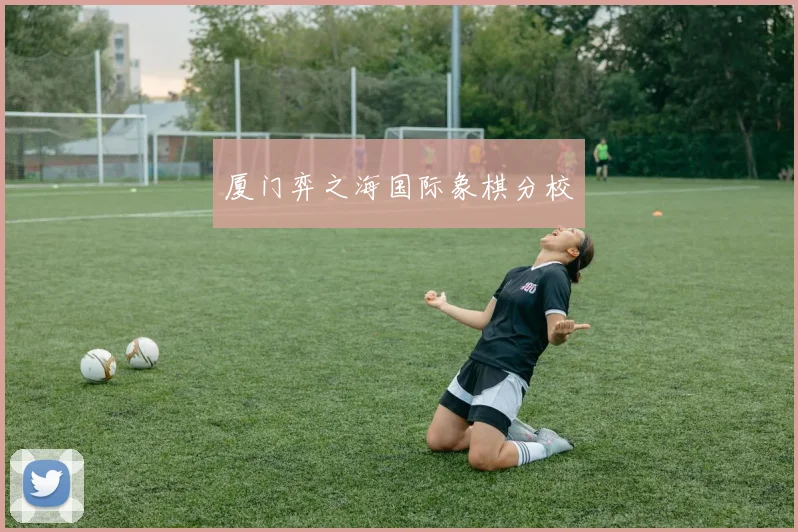 厦门弈之海国际象棋分校