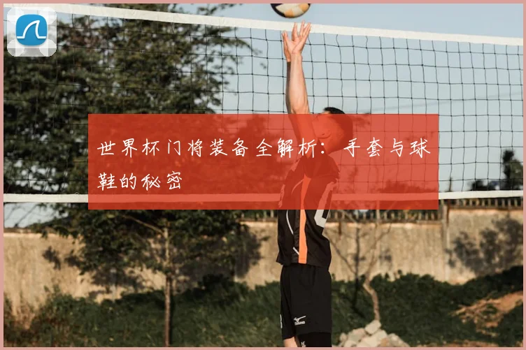 世界杯门将装备全解析：手套与球鞋的秘密