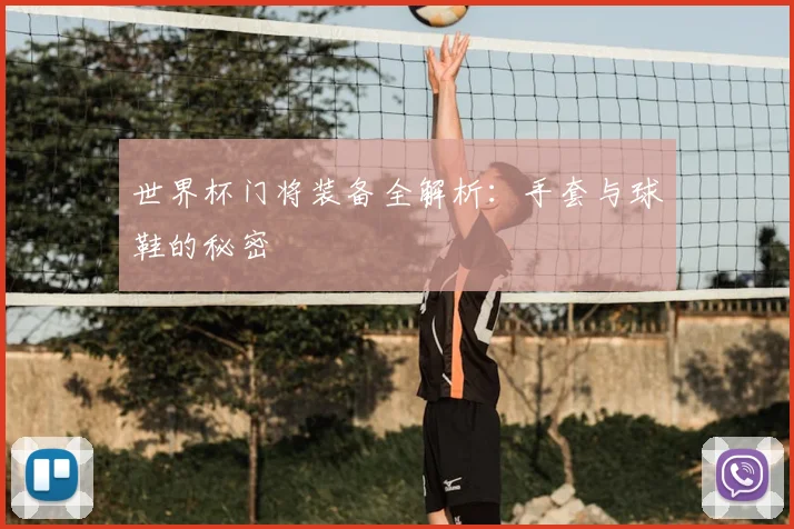 世界杯门将装备全解析：手套与球鞋的秘密
